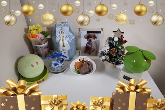 23-12-25-19-10-42-383_deco.jpg