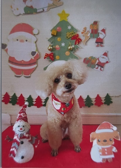 24-12-02-07-41-30-999_deco.jpg