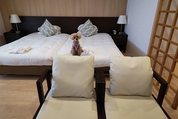 room2.JPG
